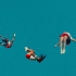 Louder Than Bombs