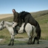 Of horses and men